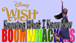 Knowing What I Know Now from Disney's Wish | Boomwhackers