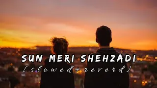 Sun Meri Shehzadi (Slowed + Reverb) Lofi Music - Ashwani Machal @short0417