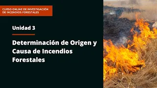 TEMA 3 - "Indicadores / Origen y Causa"