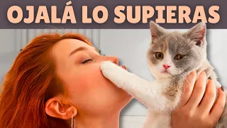 ⚡ Las 20 cosas que tu gato NECESITA QUE SEPAS