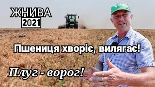 Ячмінь з горохом на сіно не скосили. Вирішили молотить! Bednar Swifterdisc по соломі