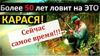 Карась напхал полный рот / Более 50 лет посвятил Рыболовной насадке на карася / Насадка для карася.