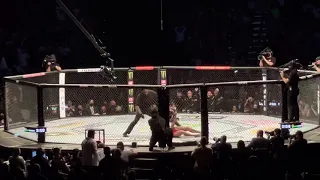 KAMARU USMAN KNOCKS OUT JORGE MASVIDAL LIVE VIEW UFC 261 // CROWD REACTION