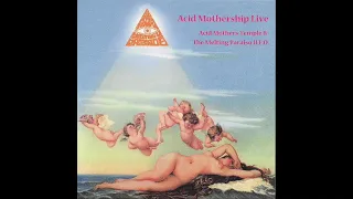 Acid Mothers Temple & the Melting Paraiso U.F.O. / Acid Mothership Live