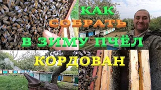 СОБИРАЕМ СЕМЬЮ ПЧЁЛ КОРДОВАН В ЗИМУ С МАТКОЙ Ф1!