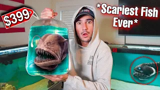 UNBOXING THE SCARIEST ANGLER FISH I'VE EVER OWNED...