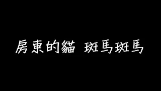 房東的貓 斑馬斑馬 歌詞