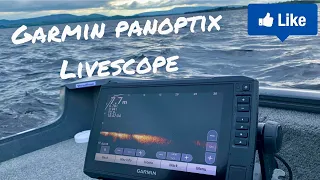 Is Livescope Cheating?