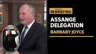 Barnaby Joyce on the Julian Assange parliamentary delegation | Afternoon Briefing | ABC News