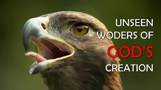 Unseen Wonders of God's Creation