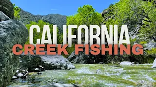 Fishing a Creek in the Mountains of California!