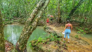 La Cascada más FAMOSA en RD🇩🇴Salto El Limón - WilliamRamosTV