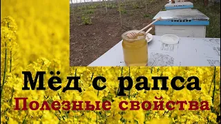 Canola Honey