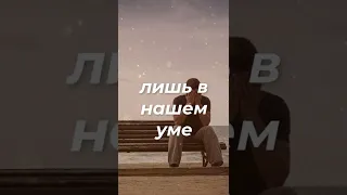 Слова со смыслом 💯 Обид не существует вовсе. Мудрость веков #shorts