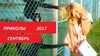 ЛУЧШИЕ ПРИКОЛЫ 2017, НОВЫЕ САМЫЕ СМЕШНЫЕ ПРИКОЛЫ 2017, СМЕШНЫЕ МОМЕНТЫ , СЕНТЯБРЬ