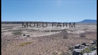 Camping at Moed Farm, Tankwa Karoo - Calvinia Vleisfees Detour