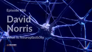 What Is Neuroplasticity Of The Brain | David Norris - EP 86