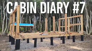 Off Grid Cabin #7 | Building the Cabin Wall Framing (Part 1)