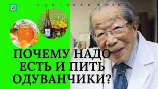 ОДУВАНЧИК САМЫЙ ПОЛЕЗНЫЙ СОРНЯК, КОТОРЫЙ ЗАМЕНИТ ВАМ ЛЕКАРСТВА. ЗДОРОВАЯ ЖИЗНЬ.