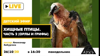 Детский эфир "Хищные птицы. Часть 2 (орлы и грифы)" в рамках рубрики "Путешествия с натуралистом"