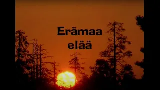 Erämaa elää