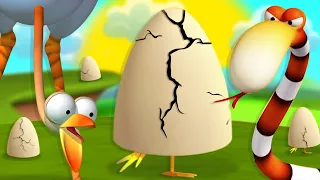 Gazoon | The Jungle Games | Egg Shaped | Funny Animal Cartoon For Kids