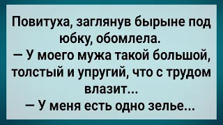 Повитуха Заглянув Барыне Под Юбку, Обомлела! Сборник Свежих Анекдотов! Юмор!