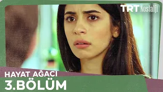 Hayat Ağacı 3.Bölüm