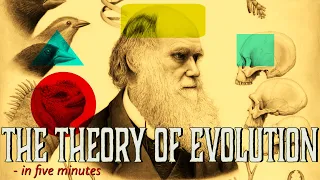 Evolution & the Evidence explained in 5 minutes