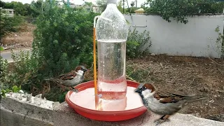 Automatic Watering system for birds | Water for birds