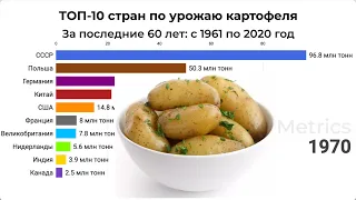ТОП-10 стран по производству картофеля на протяжении последних 60 лет