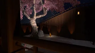 (Exploring VR) Japanese Garden At Night