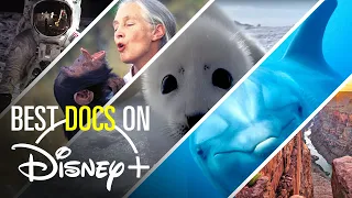 10 Must-See Documentaries on Disney+ | Bingeworthy