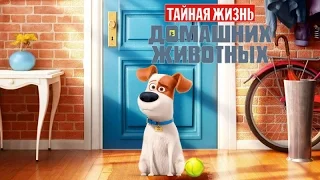 Тайная жизнь домашних животных / The Secret Life of Pets HD Мультфильм раскраска.