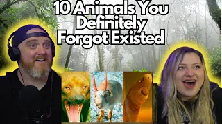 10 Animals You Definitely Forgot Existed @mndiaye_97 | HatGuy & @gnarlynikki