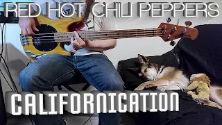 Red Hot Chili Peppers - Californication (Bass Cover) - Tabs in description