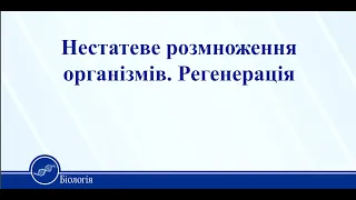 Нестатеве розмноження організмів. Регенерація. Біологія 11 клас