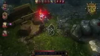 Divinity Original Sin - Cyseal cornfield battle