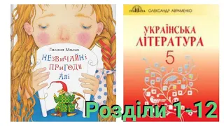 "Незвичайні пригоди Алі в країні Недоладії"Галина Малик👱‍♀️розділ 1-12/5 клас/Українська література