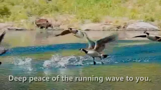 Deep Peace of the Running Wave to You - John Rutter [with lyrics for congregations]