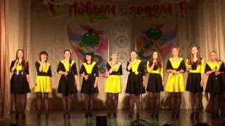 НОВЫЙ ГОД ВГМУ 2012-2013.avi