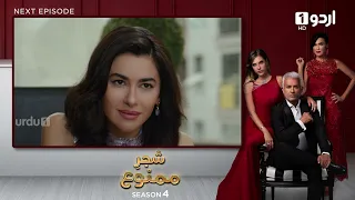 Shajar-e-Mamnu | Episode 352 Teaser | Turkish Drama | Forbidden Fruit | Urdu Dubbing | 14 April 2022