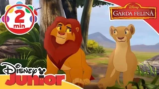 Garda Felină - Să fii rege - cântec. Doar la Disney Junior!