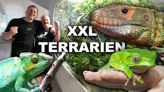 Extreme TERRARIEN-TIERE und was sie brauchen.. 🐍