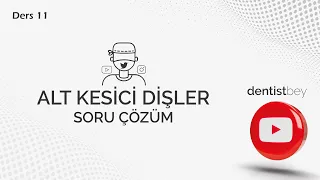 DERS-11 ALT KESİCİ DİŞLER SORU ÇÖZÜMÜ (ALT SANTRAL - ALT LATERAL)