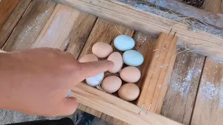 Decoy Eggs!