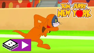 Tom & Jerry | De allerbeste hond! | Cartoonito