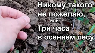 Никому такого не пожелаю, или Три часа в осеннем лесу