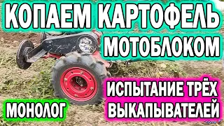 🔥КОПАЕМ КАРТОФЕЛЬ 🔥МОТОБЛОКОМ 🔥2021. Испытание выкпывателей. 💥Монолог о выполненной работе.