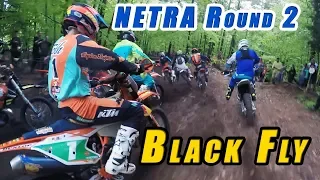 ROCKS & ROOTS - NETRA/CATRA Black Fly Harescramble